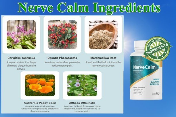 Nerve Calm Ingredients